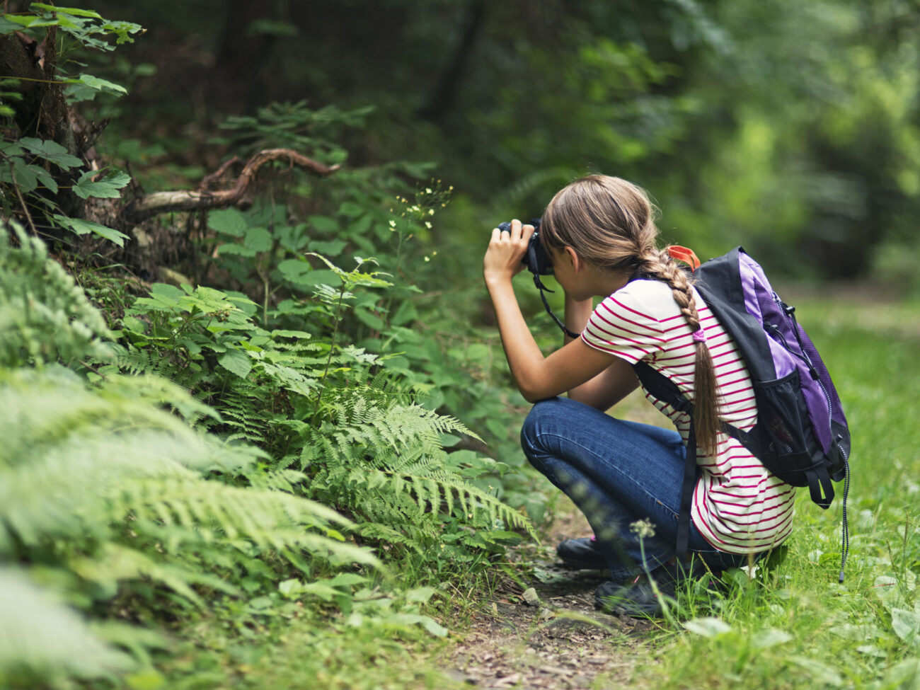 Sommerferien in Rhön-Grabfeld: 10 kreative Ideen & Abenteuer