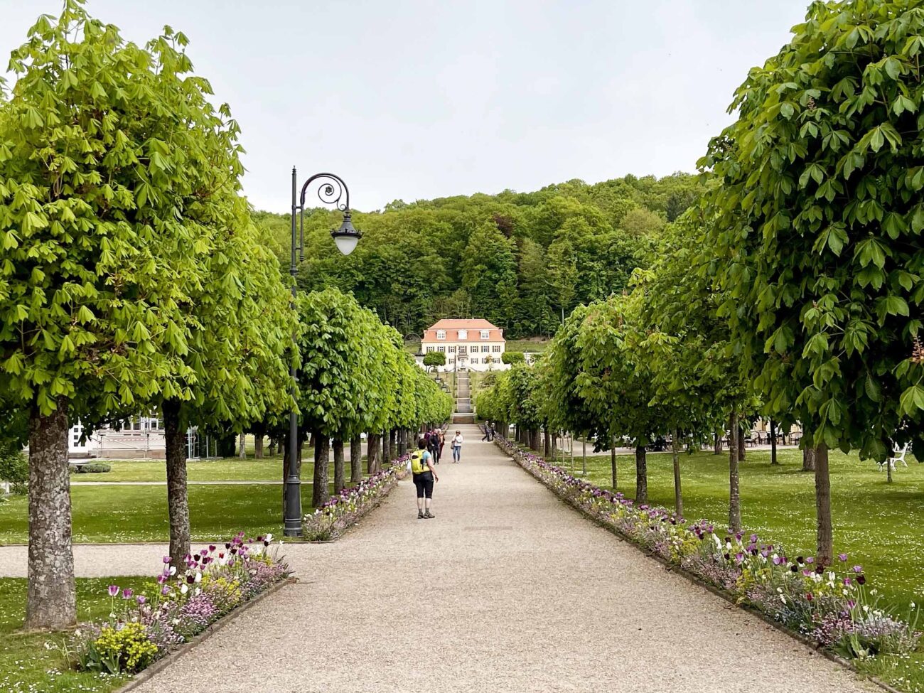 Extratour Königsweg – Wandern auf königlichen Spuren in der Rhön