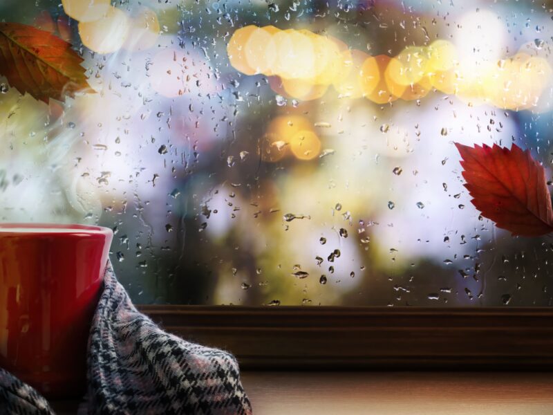 Eine Tasse Tee mit Decke steht vor einem Fenster. Draußen ist Herbstwetter.