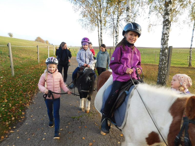 Kinder reiten oder führen Ponnys auf einem Weg.