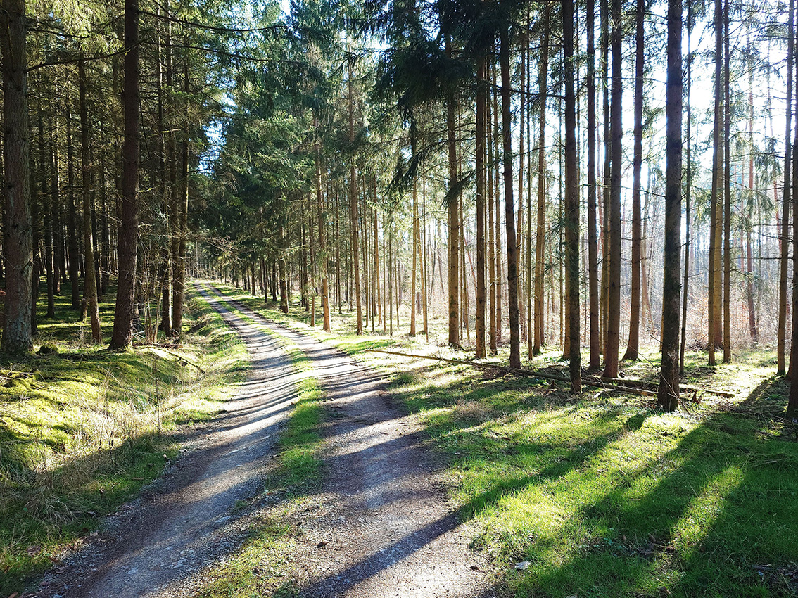 Blütenbracht in der Rhön – 5  schöne & einfache Wanderungen im Frühling